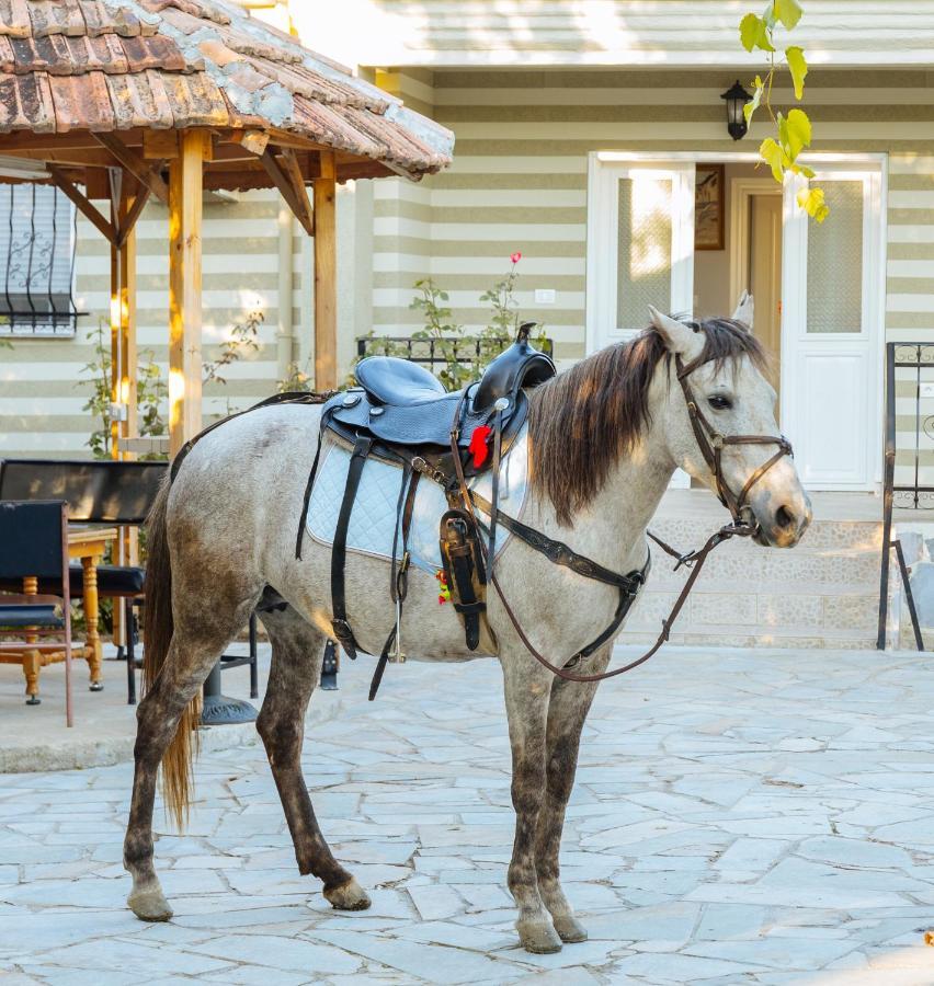 Vila 1 Korcza Zewnętrze zdjęcie